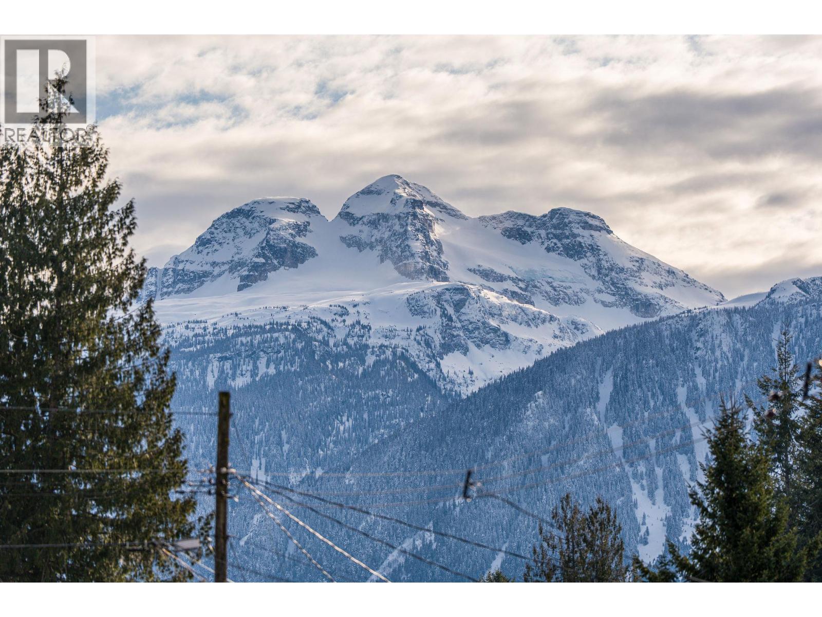 257 Viers Crescent, Revelstoke, British Columbia  V0E 2S1 - Photo 40 - 10376280