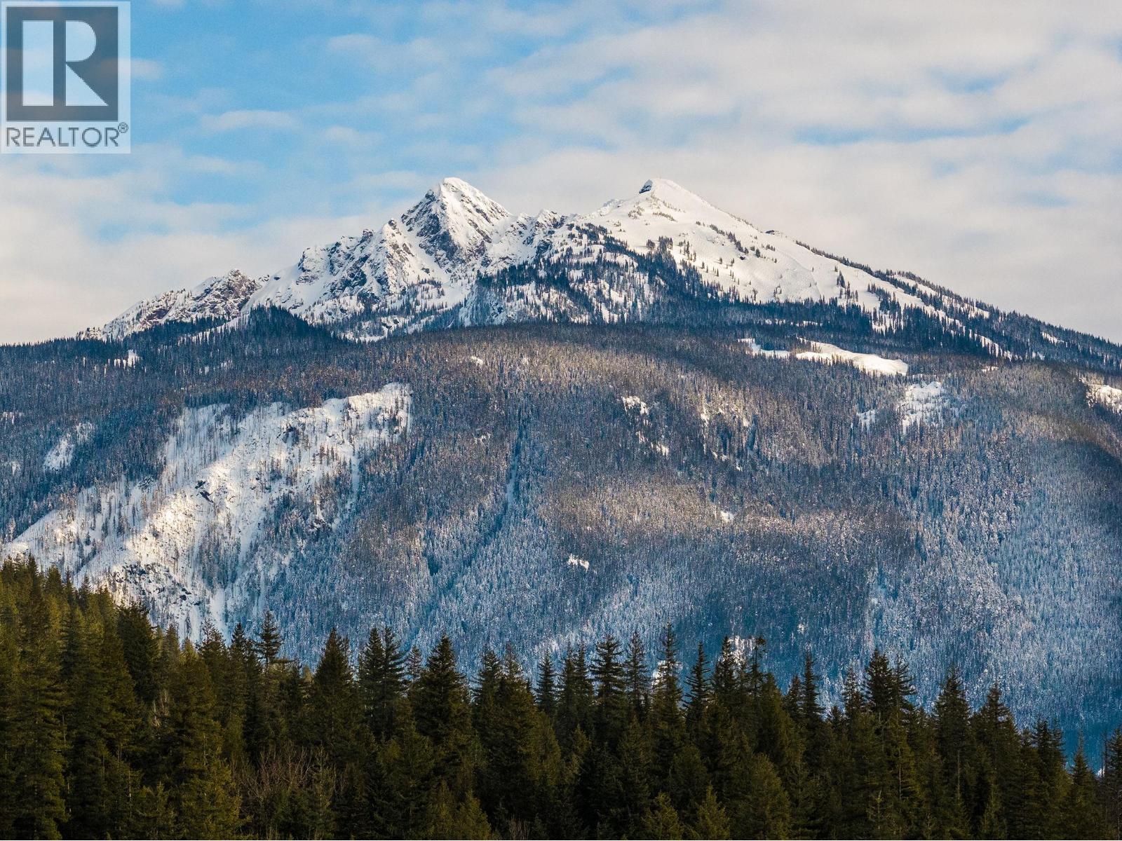 257 Viers Crescent, Revelstoke, British Columbia  V0E 2S1 - Photo 46 - 10376280