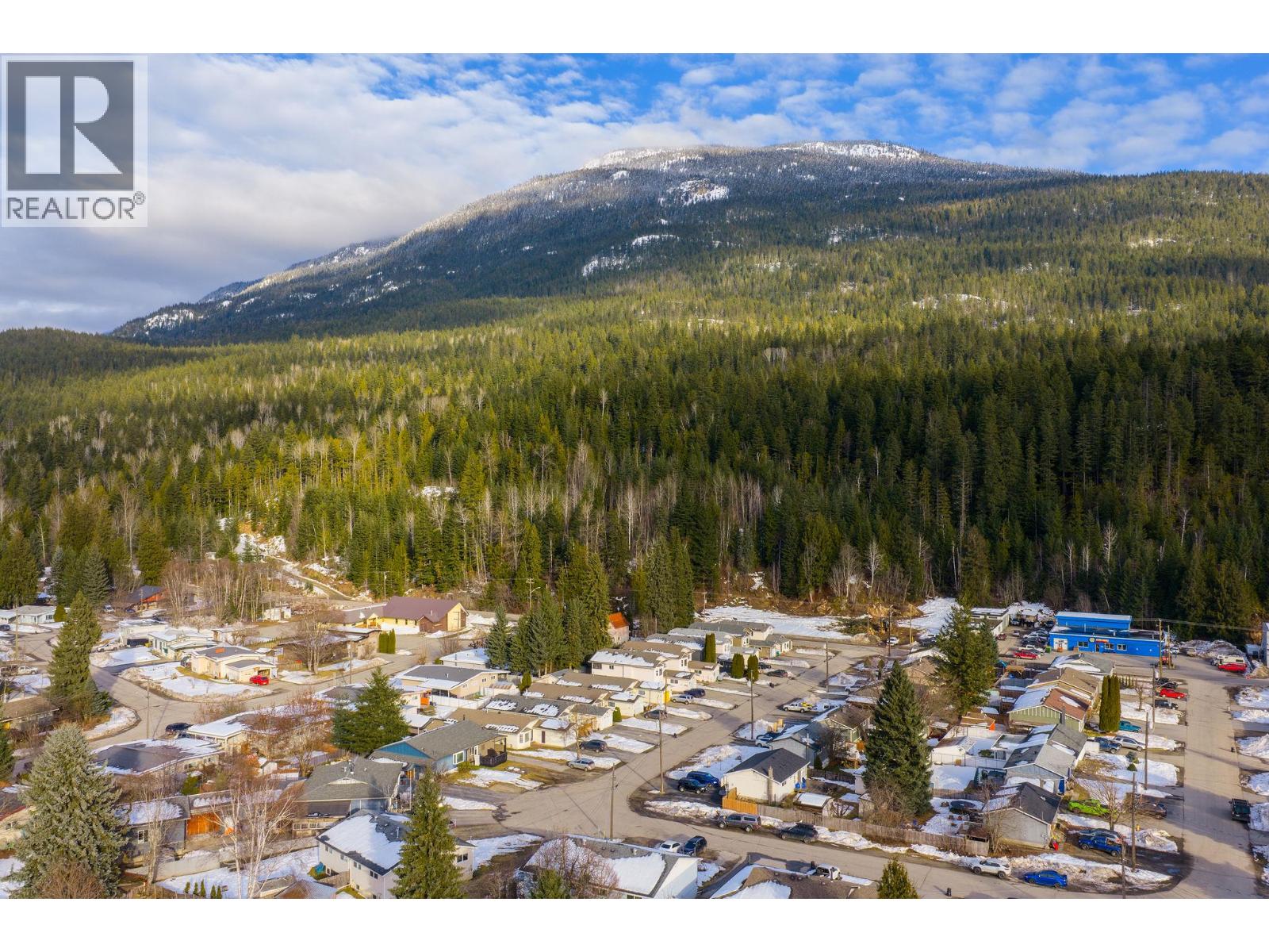 257 Viers Crescent, Revelstoke, British Columbia  V0E 2S1 - Photo 47 - 10376280