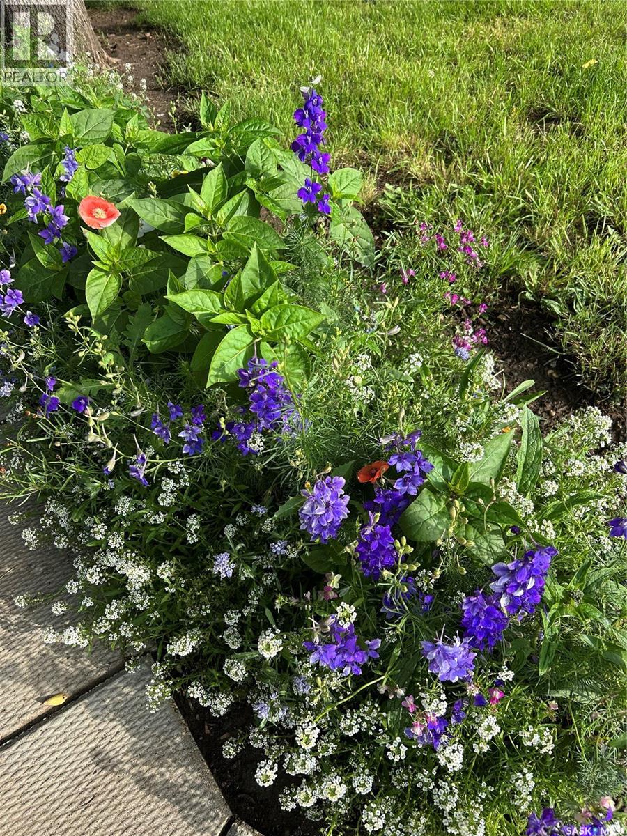 East Ponteix Acreage, Auvergne Rm No. 76, Saskatchewan  S0N 1Z0 - Photo 40 - SK033727