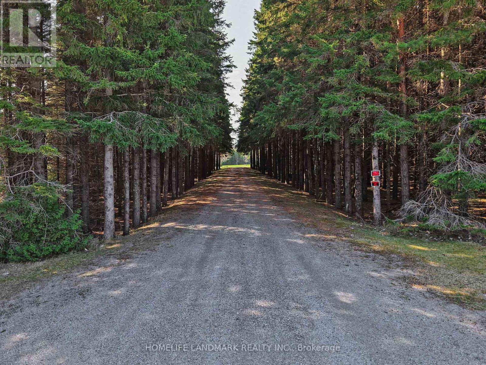 3580 Mckee Road, Scugog, Ontario  L0B 1B0 - Photo 3 - E13038946