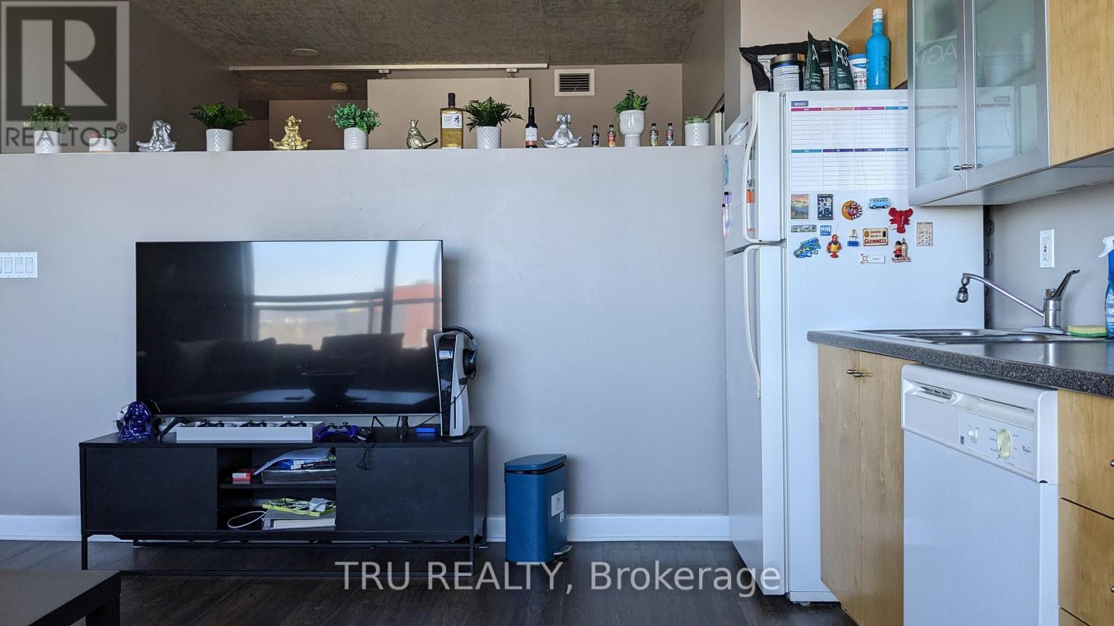 1003 - 180 York Street, Ottawa, Ontario  K1N 1J6 - Photo 8 - X13038880