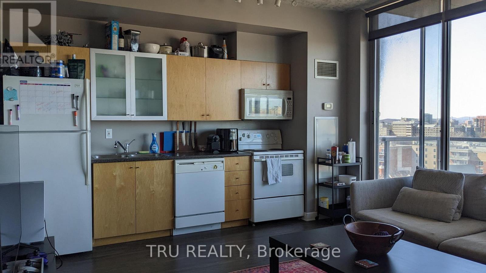 1003 - 180 York Street, Ottawa, Ontario  K1N 1J6 - Photo 9 - X13038880