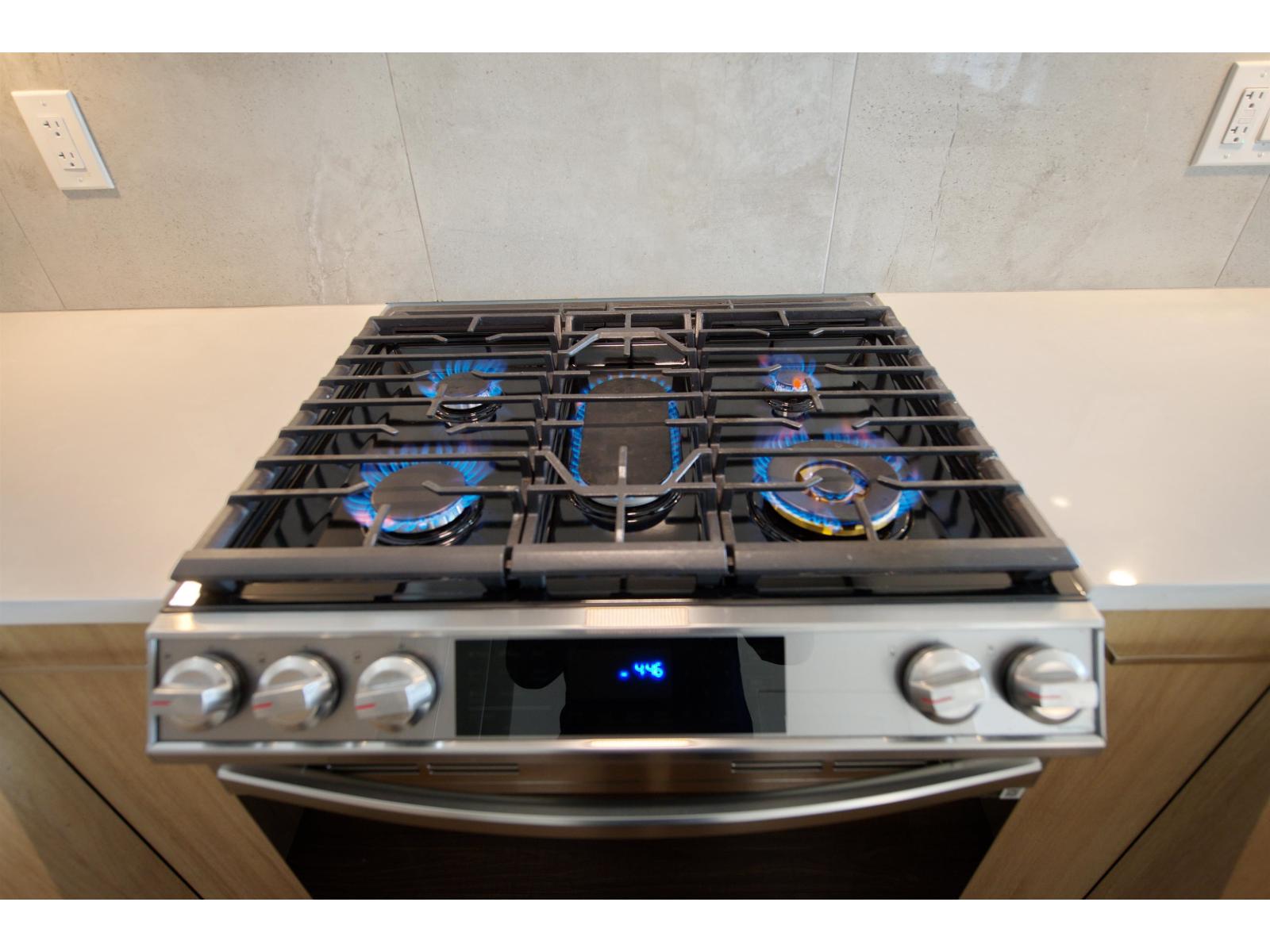 A107 31900 Raven Avenue, Mission, British Columbia  V2V 1B8 - Photo 9 - R3103414