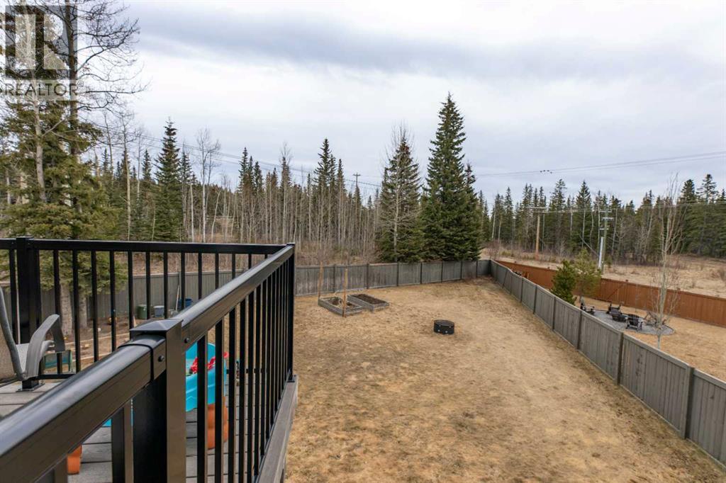 165 Muldoon Crescent, Hinton, Alberta  T7V 0A1 - Photo 33 - A2304454