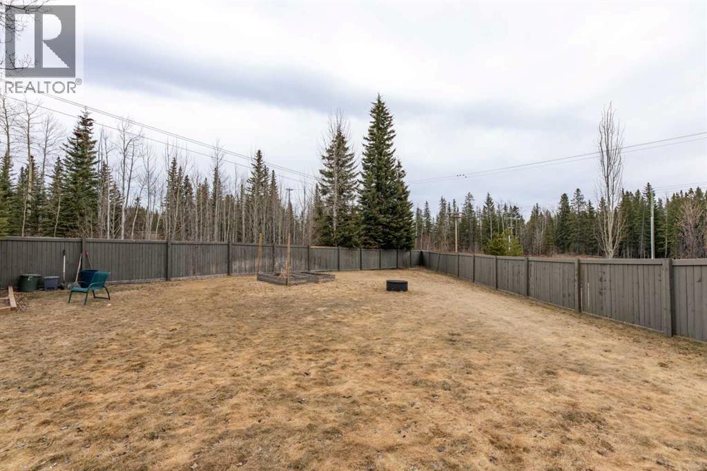 165 Muldoon Crescent, Hinton, Alberta  T7V 0A1 - Photo 40 - A2304454