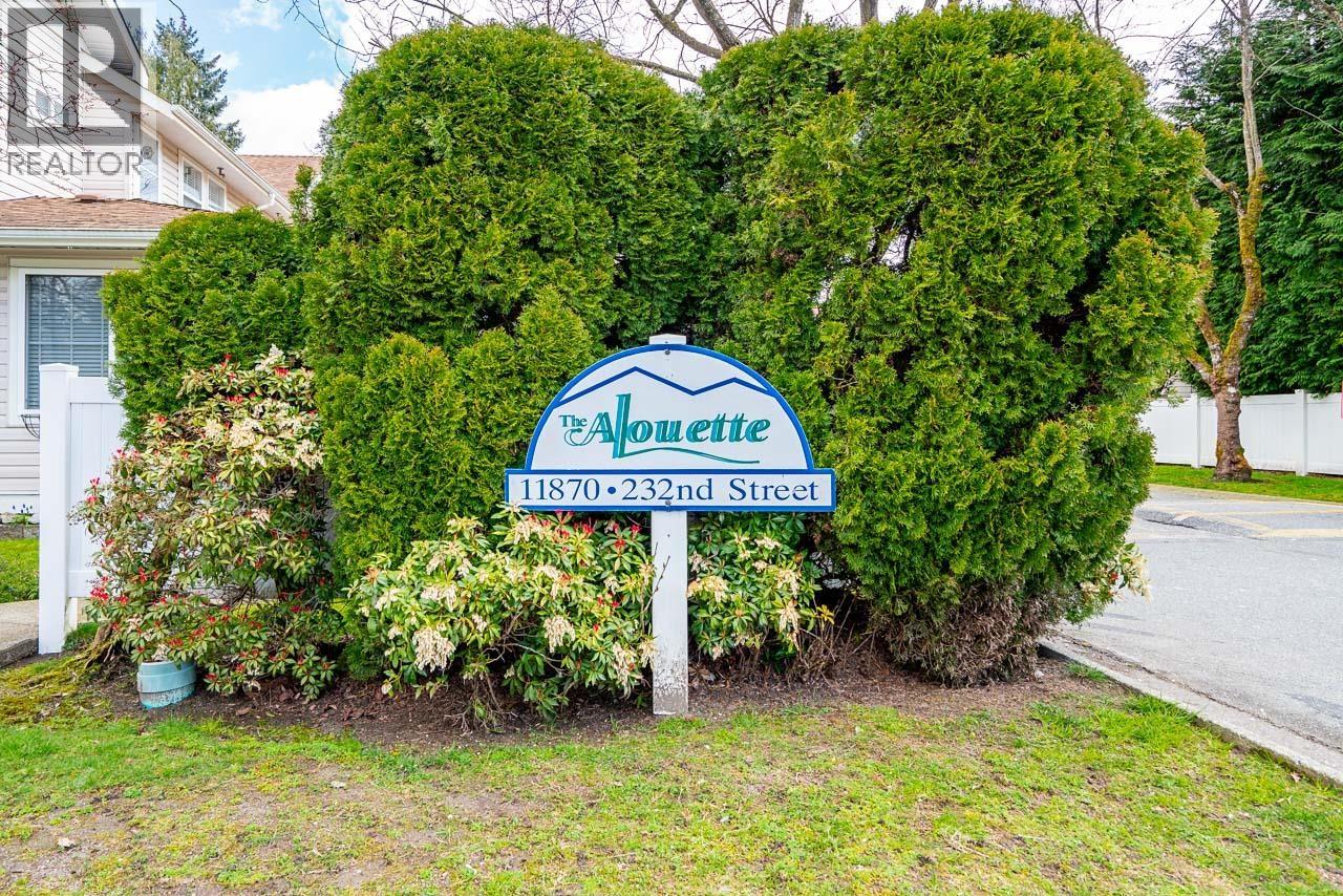 24 11870 232 Street, Maple Ridge, British Columbia  V2X 6S9 - Photo 29 - R3105915