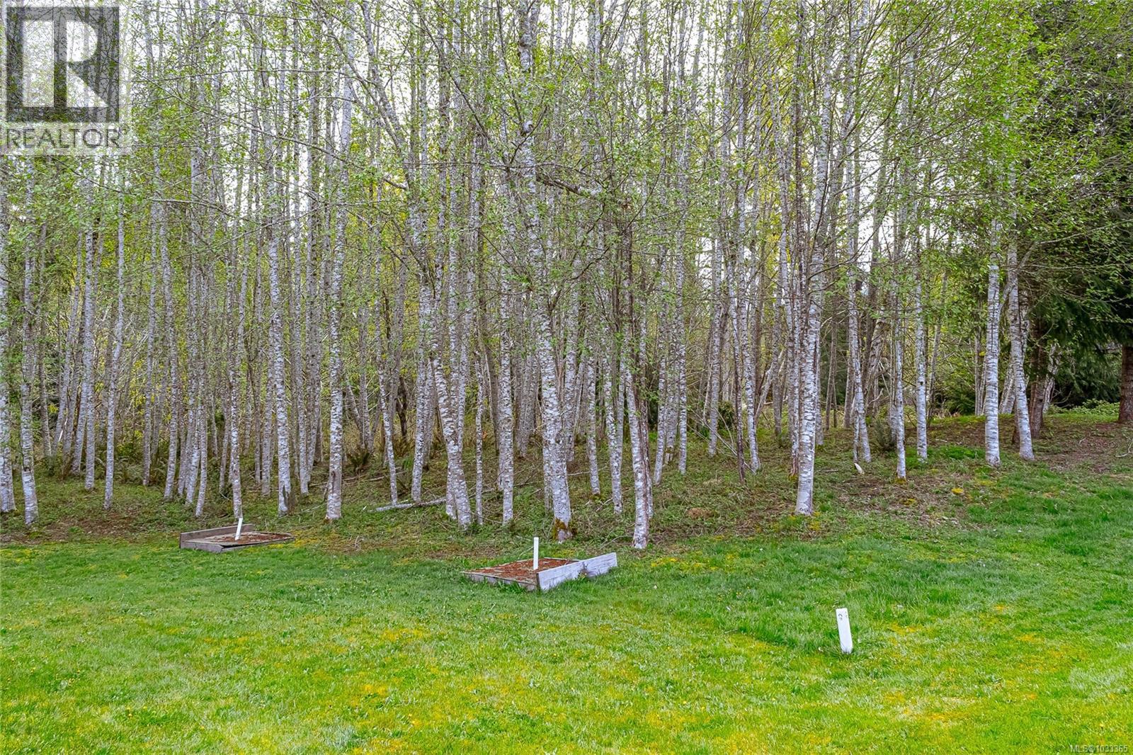 33 300 Grosskleg Way, Lake Cowichan, British Columbia  V0R 2G1 - Photo 29 - 1033365