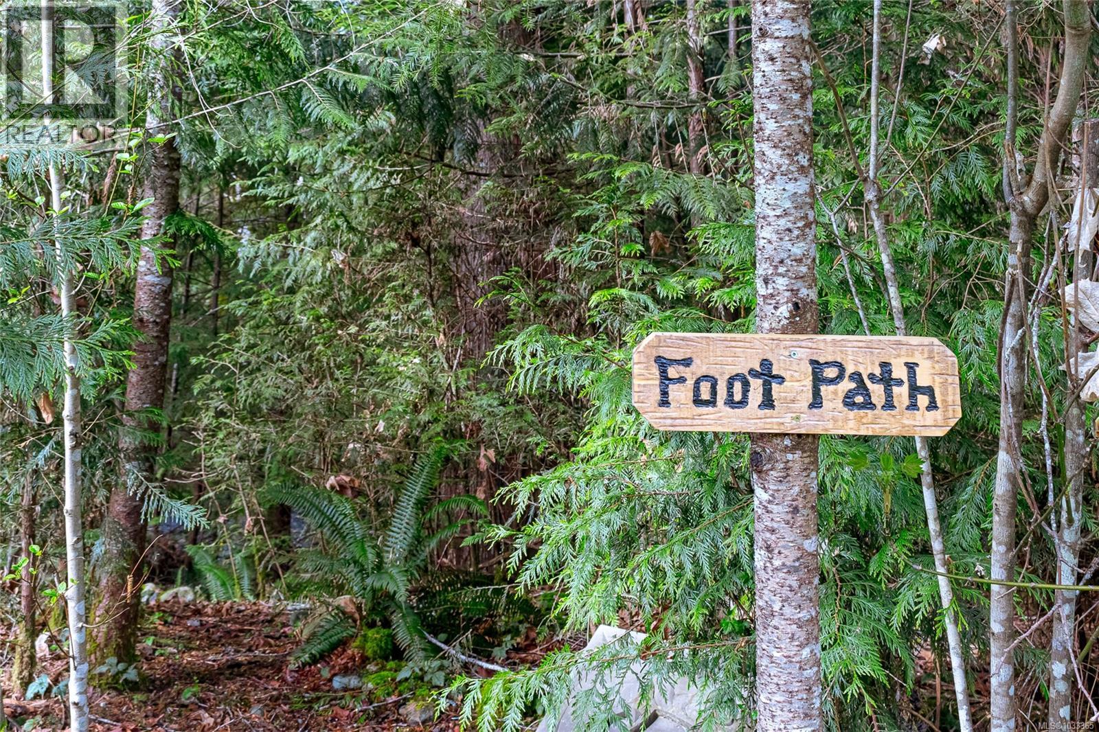 33 300 Grosskleg Way, Lake Cowichan, British Columbia  V0R 2G1 - Photo 37 - 1033365