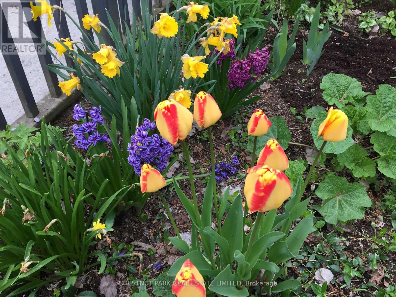 1336 County Rd 11, Prince Edward County, Ontario  K0K 2T0 - Photo 38 - X12977756