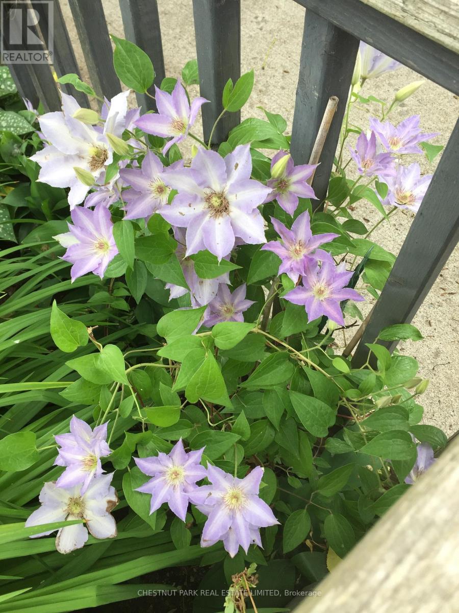 1336 County Rd 11, Prince Edward County, Ontario  K0K 2T0 - Photo 39 - X12977756