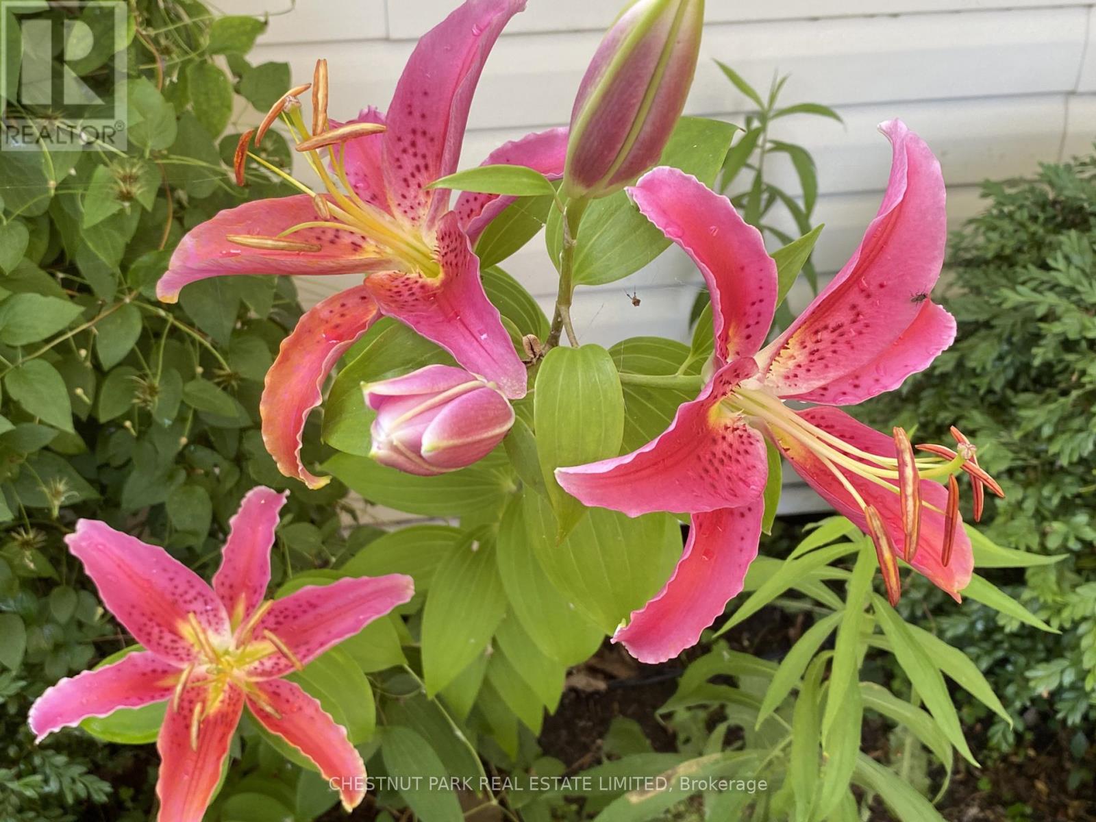 1336 County Rd 11, Prince Edward County, Ontario  K0K 2T0 - Photo 40 - X12977756