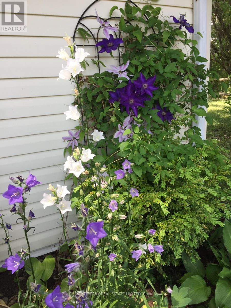 1336 County Rd 11, Prince Edward County, Ontario  K0K 2T0 - Photo 37 - X12977756