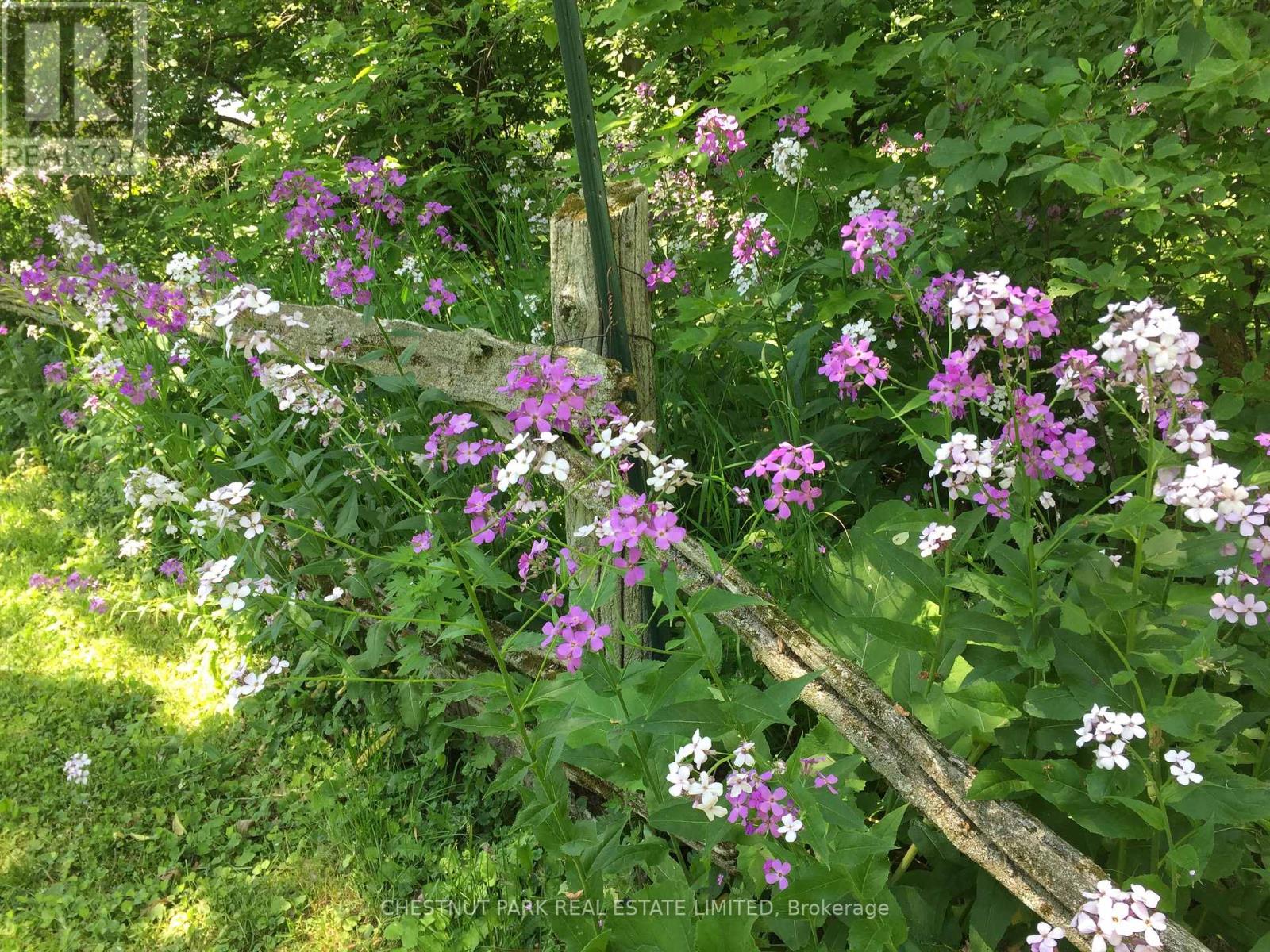 1336 County Rd 11, Prince Edward County, Ontario  K0K 2T0 - Photo 42 - X12977756