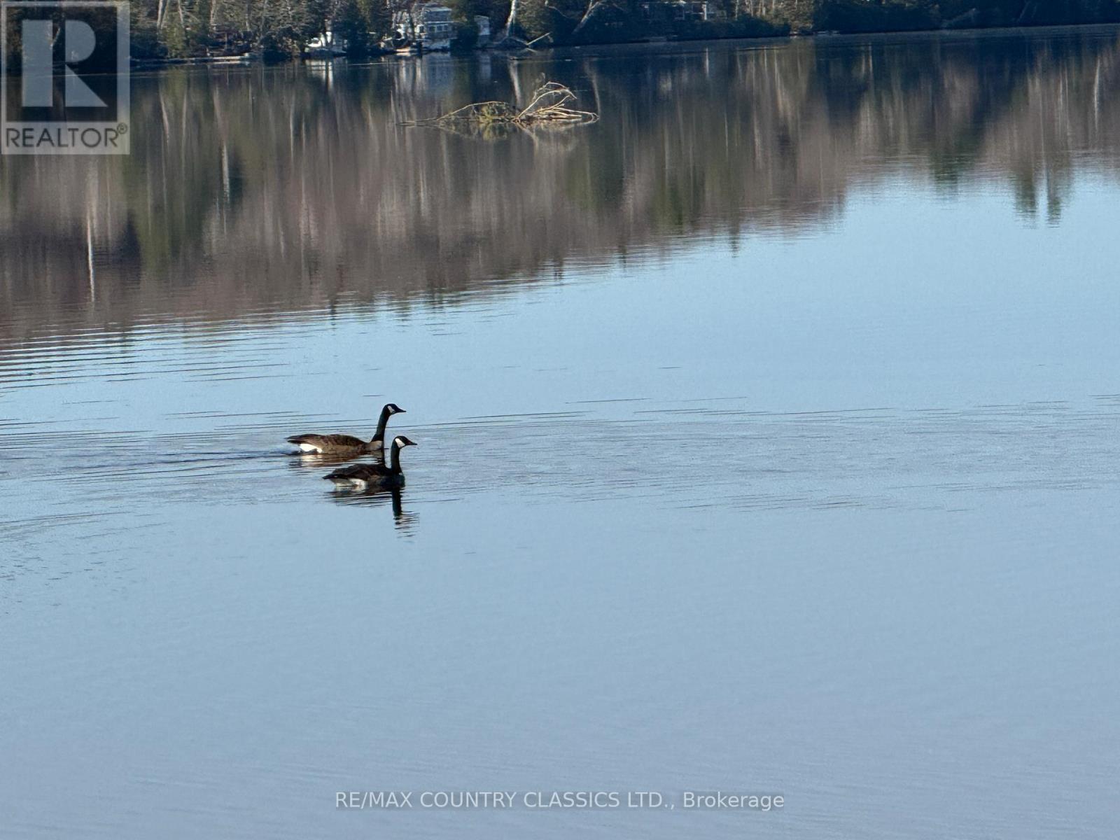 15 Cryderman Court, Faraday, Ontario  K0L 1C0 - Photo 30 - X12943748