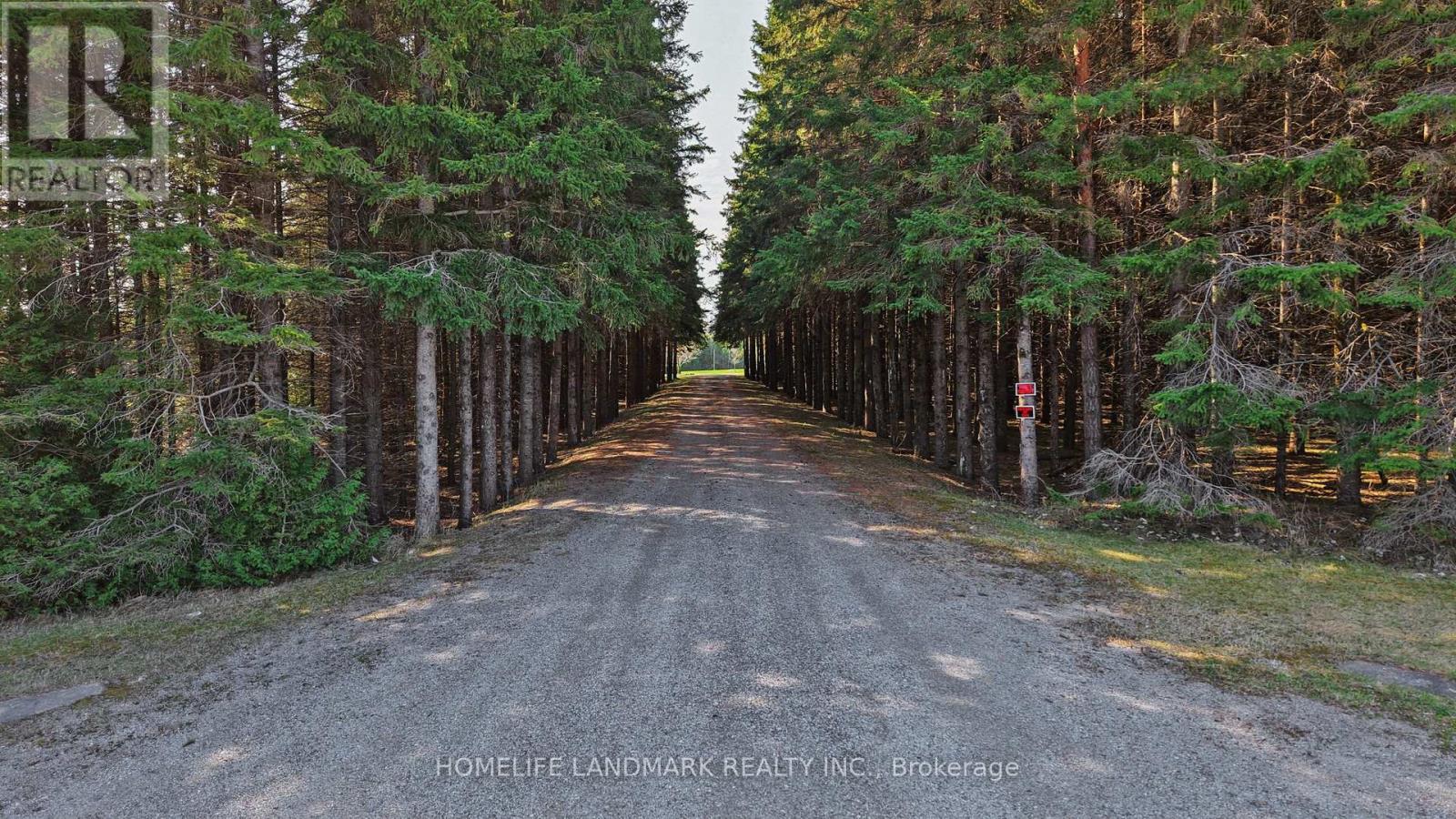 3580 Mckee Road, Scugog, Ontario  L0B 1B0 - Photo 3 - E13038946