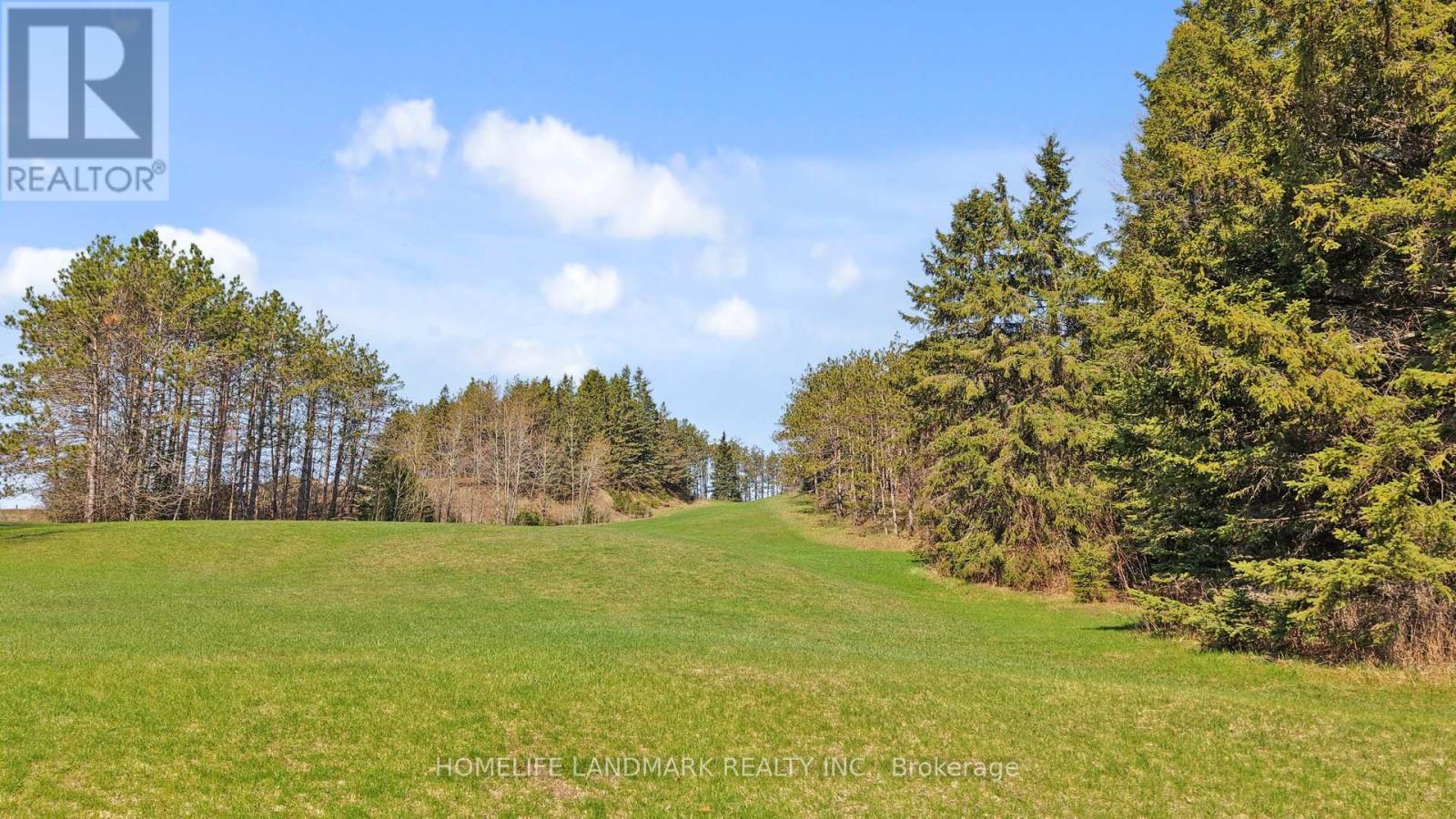 3580 Mckee Road, Scugog, Ontario  L0B 1B0 - Photo 47 - E13038946