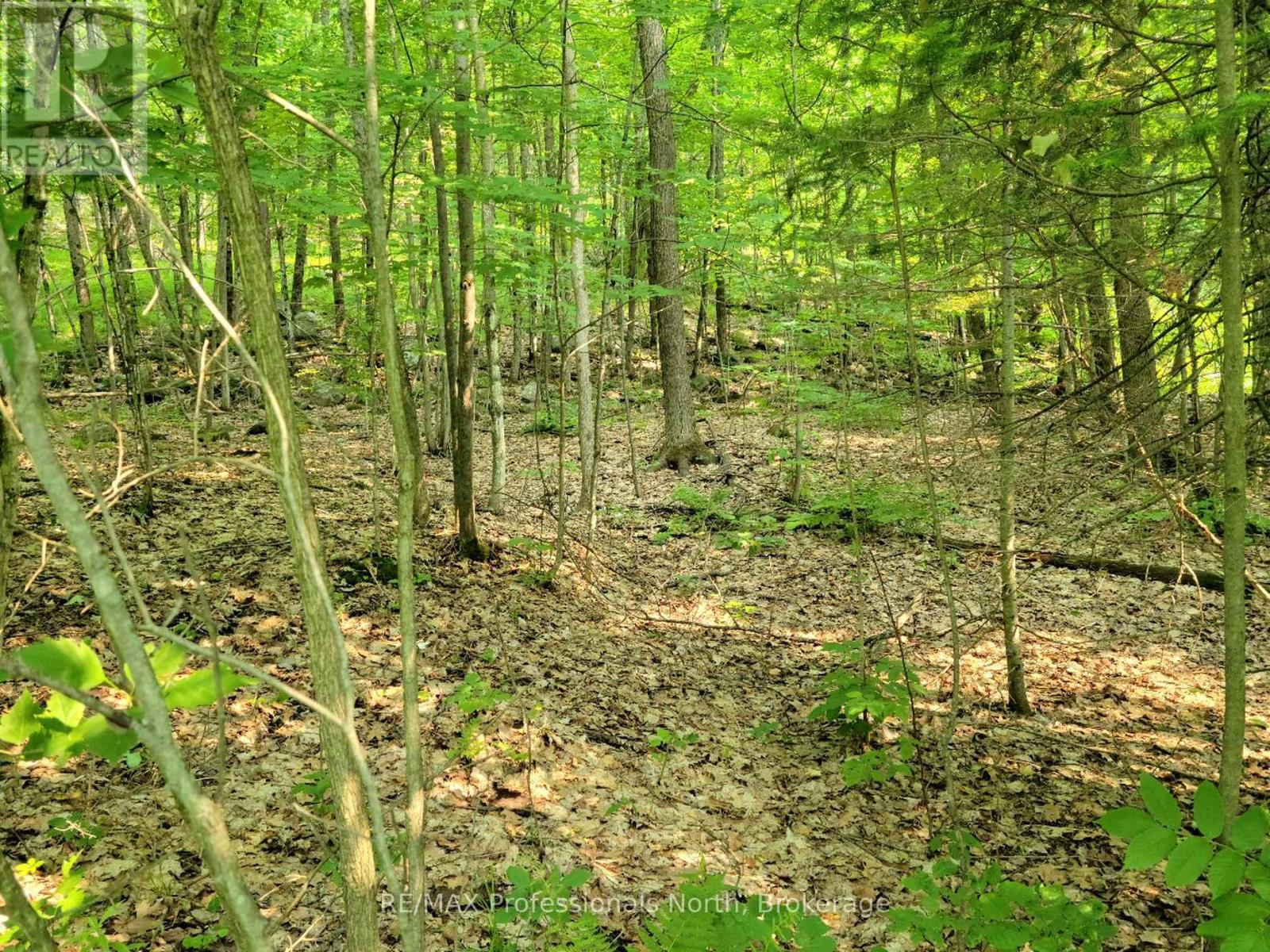 22 - 32 MOUNT VERNON TRAIL, Huntsville, Ontario