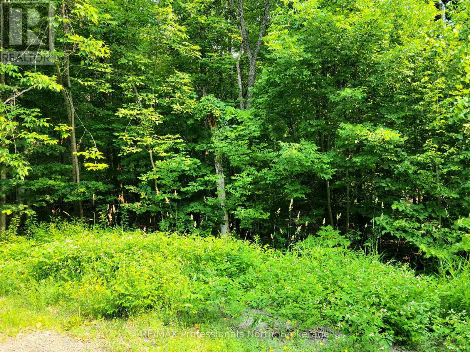 22 - 32 Mount Vernon Trail, Huntsville, Ontario  P1H 1E3 - Photo 2 - X13039128