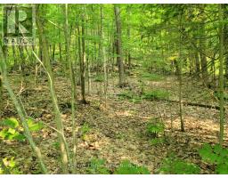 22 - 32 MOUNT VERNON TRAIL, huntsville (chaffey), Ontario