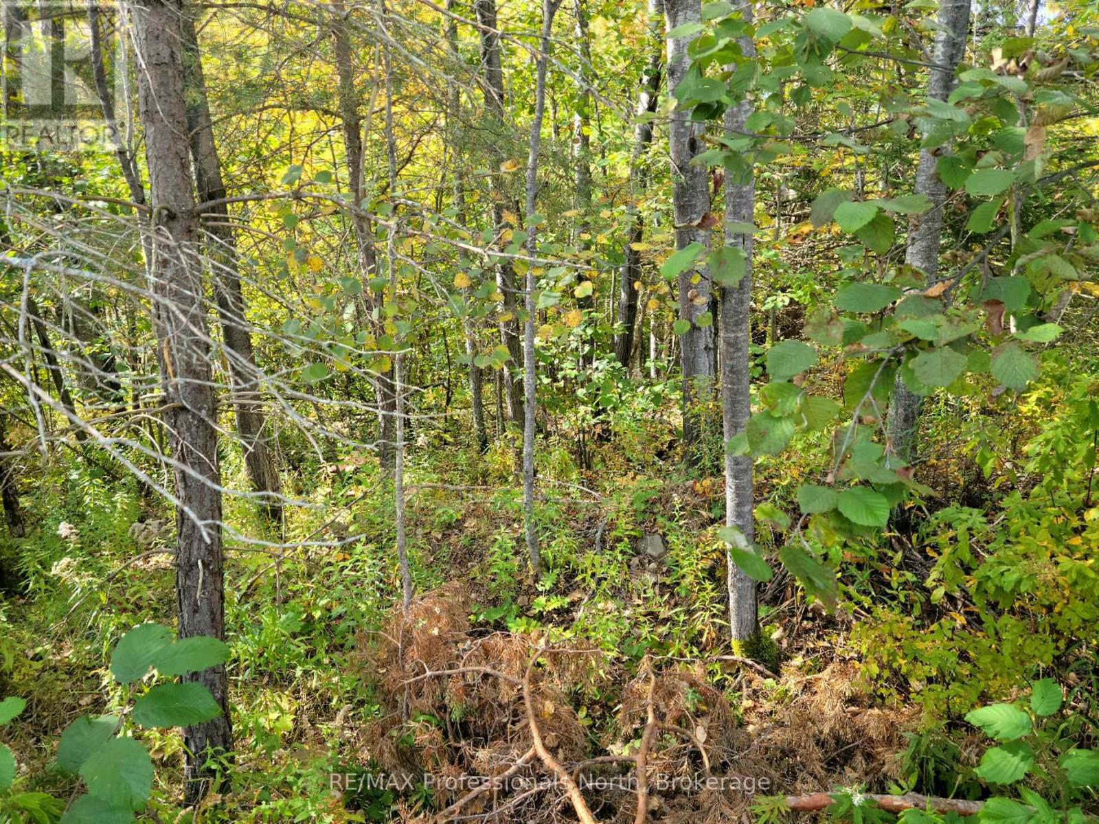 32 - 4 FOX RUN LANE, Huntsville, Ontario