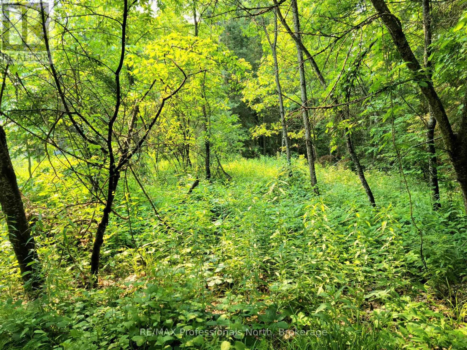 26 - 35 MOUNT VERNON TRAIL, Huntsville, Ontario