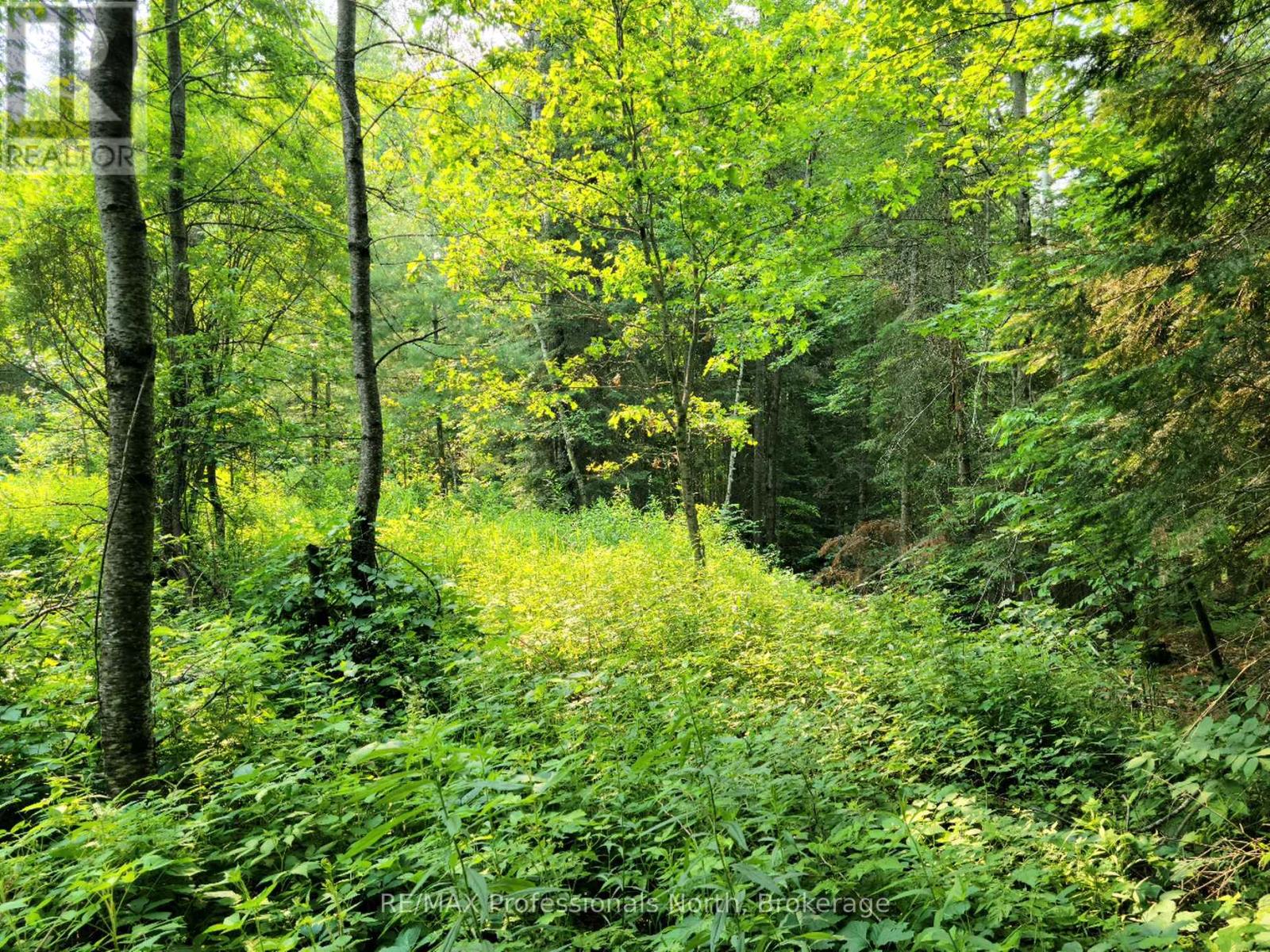 26 - 35 Mount Vernon Trail, Huntsville, Ontario  P1H 1E3 - Photo 2 - X13039132