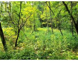 26 - 35 MOUNT VERNON TRAIL, huntsville (chaffey), Ontario