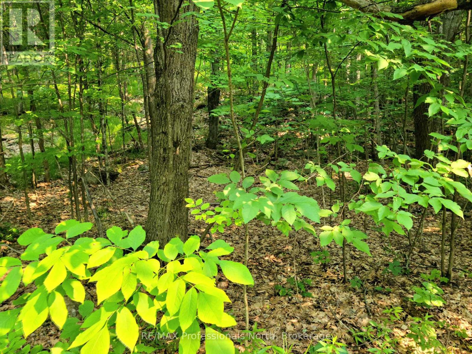 19 - 26 Mount Vernon Trail, Huntsville, Ontario  P1H 1E3 - Photo 2 - X13039134