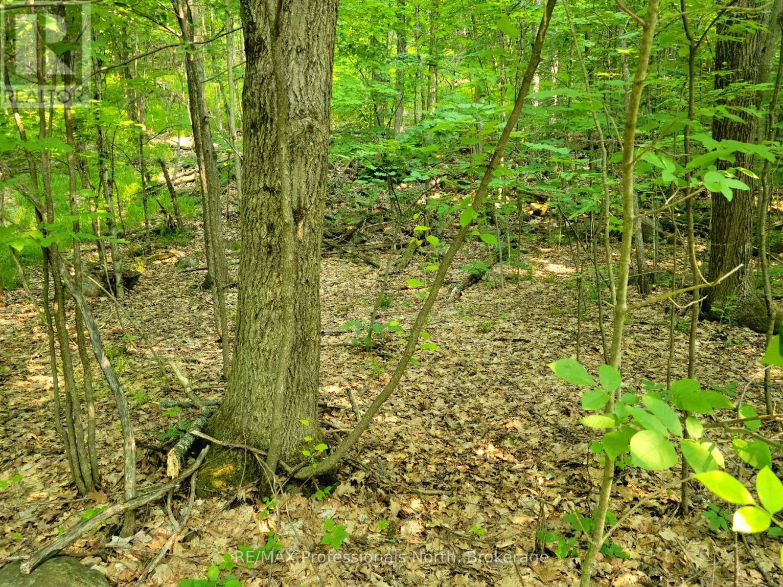 19 - 26 Mount Vernon Trail, Huntsville, Ontario  P1H 1E3 - Photo 3 - X13039134