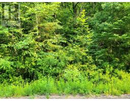 19 - 26 MOUNT VERNON TRAIL, huntsville (chaffey), Ontario