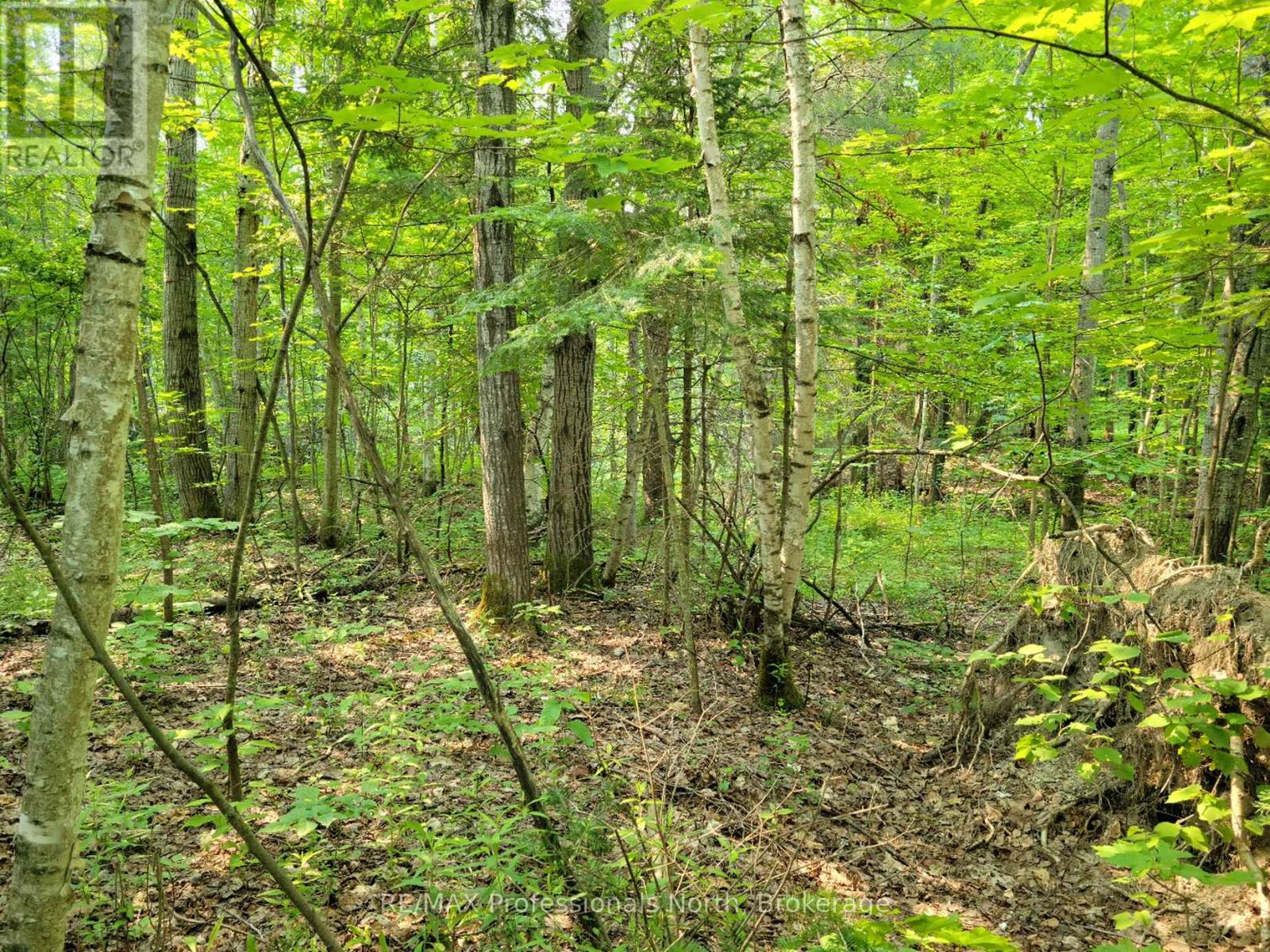 29 - 29 MOUNT VERNON TRAIL, Huntsville, Ontario