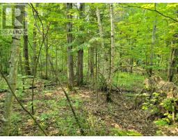 29 - 29 MOUNT VERNON TRAIL, huntsville (chaffey), Ontario