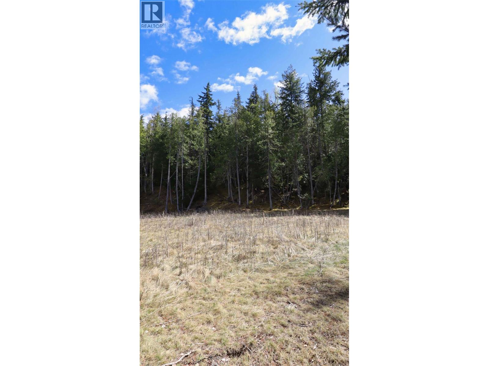 6167 Armstrong Road Lot# Pl 1, Eagle Bay, British Columbia  V0E 1T0 - Photo 10 - 10384589