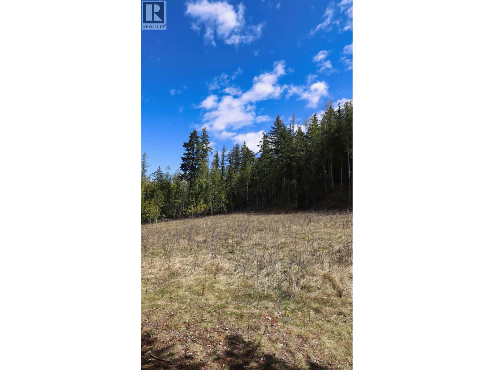 6167 Armstrong Road Lot# Pl 1, Eagle Bay, British Columbia  V0E 1T0 - Photo 11 - 10384589
