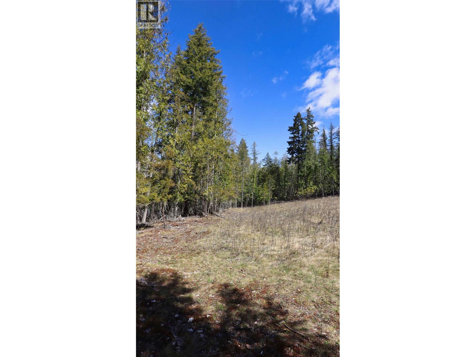 6167 Armstrong Road Lot# Pl 1, Eagle Bay, British Columbia  V0E 1T0 - Photo 12 - 10384589