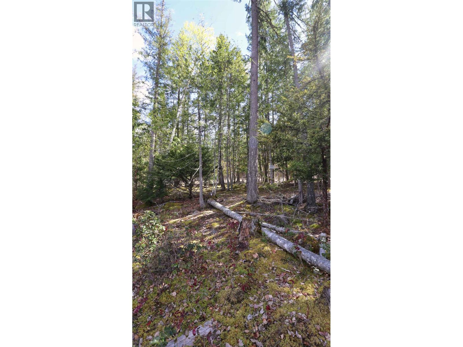 6167 Armstrong Road Lot# Pl 1, Eagle Bay, British Columbia  V0E 1T0 - Photo 15 - 10384589