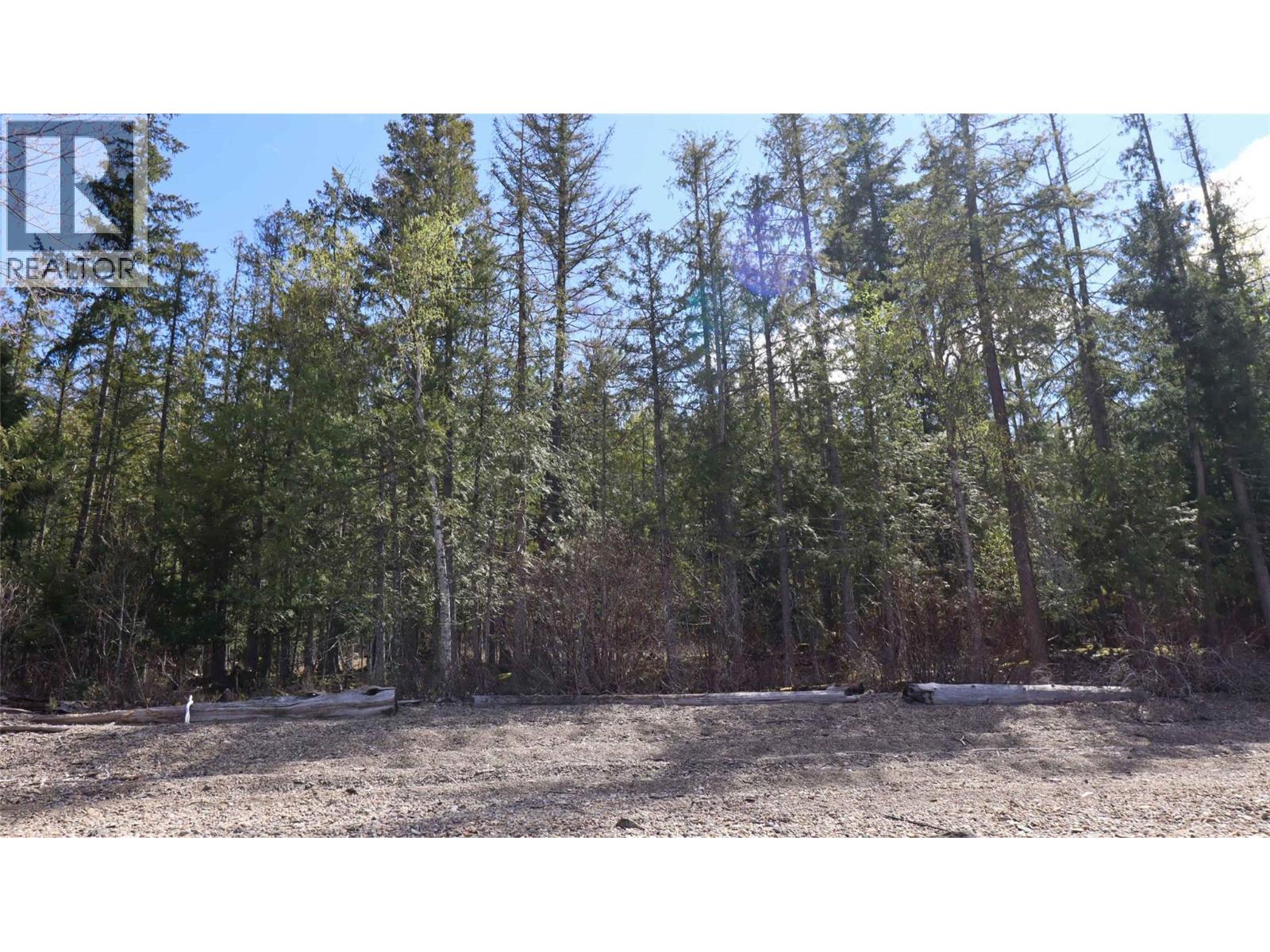 6167 Armstrong Road Lot# Pl 1, Eagle Bay, British Columbia  V0E 1T0 - Photo 2 - 10384589