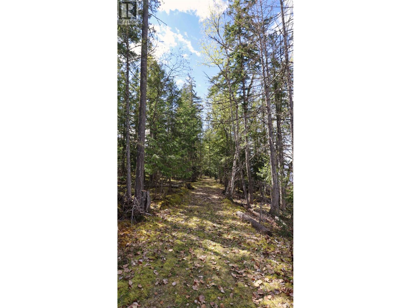 6167 Armstrong Road Lot# Pl 1, Eagle Bay, British Columbia  V0E 1T0 - Photo 28 - 10384589