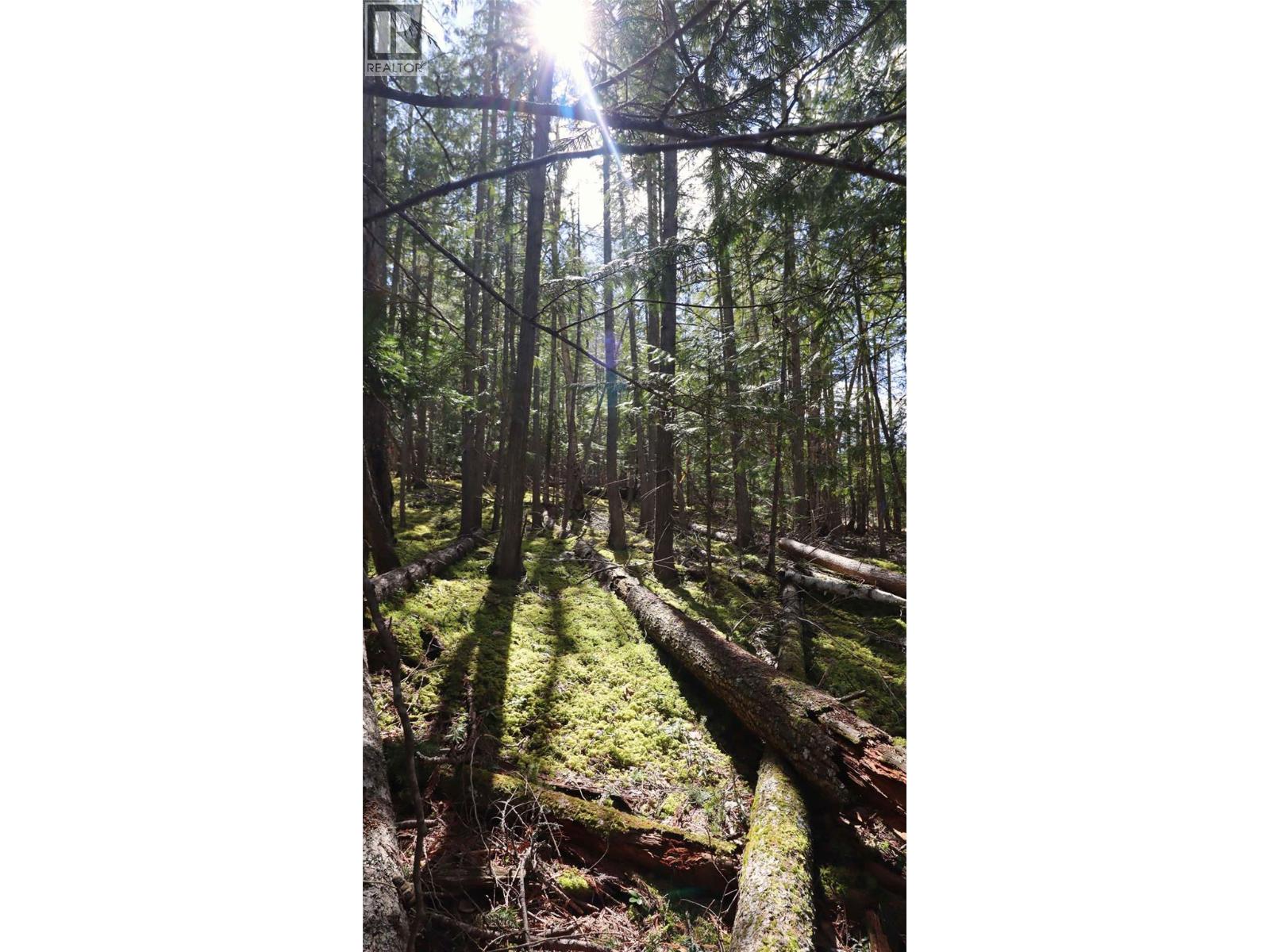 6167 Armstrong Road Lot# Pl 1, Eagle Bay, British Columbia  V0E 1T0 - Photo 29 - 10384589