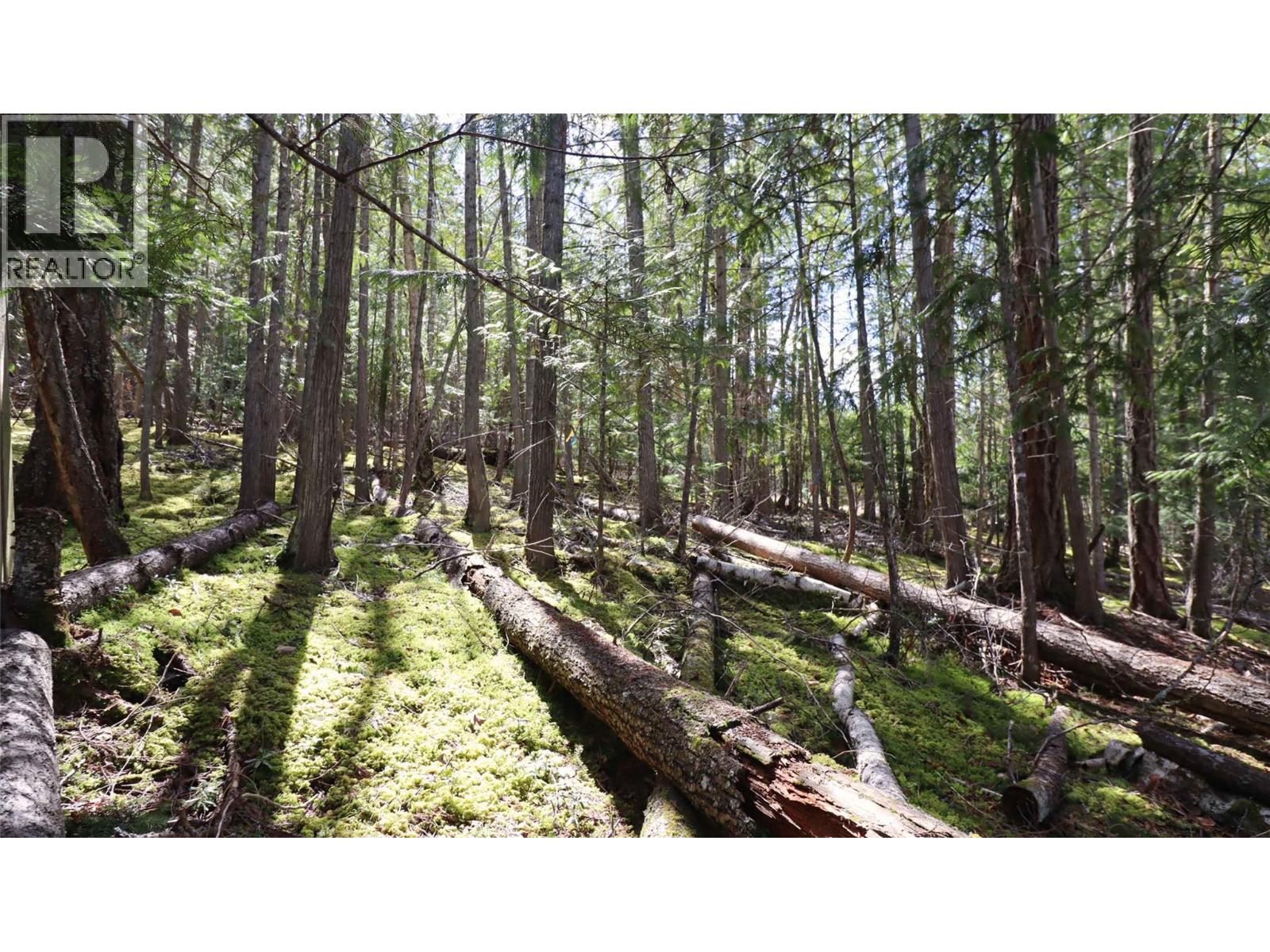 6167 Armstrong Road Lot# Pl 1, Eagle Bay, British Columbia  V0E 1T0 - Photo 30 - 10384589