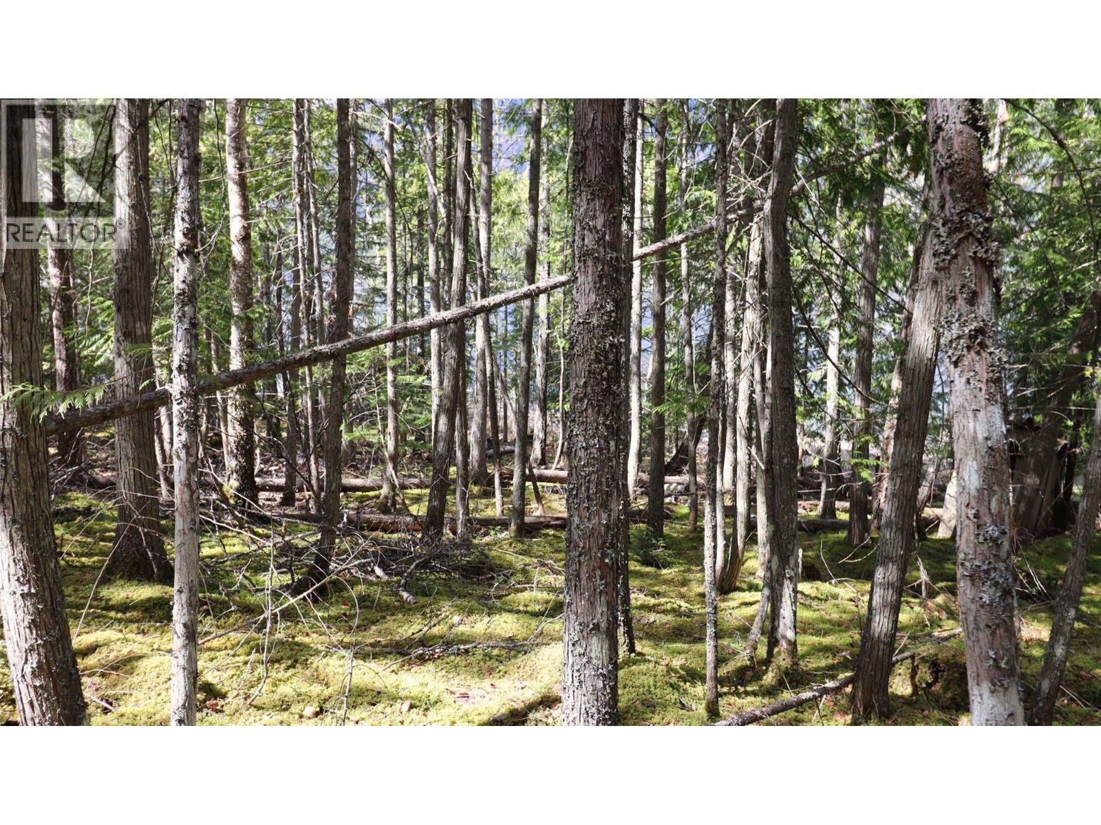 6167 Armstrong Road Lot# Pl 1, Eagle Bay, British Columbia  V0E 1T0 - Photo 31 - 10384589