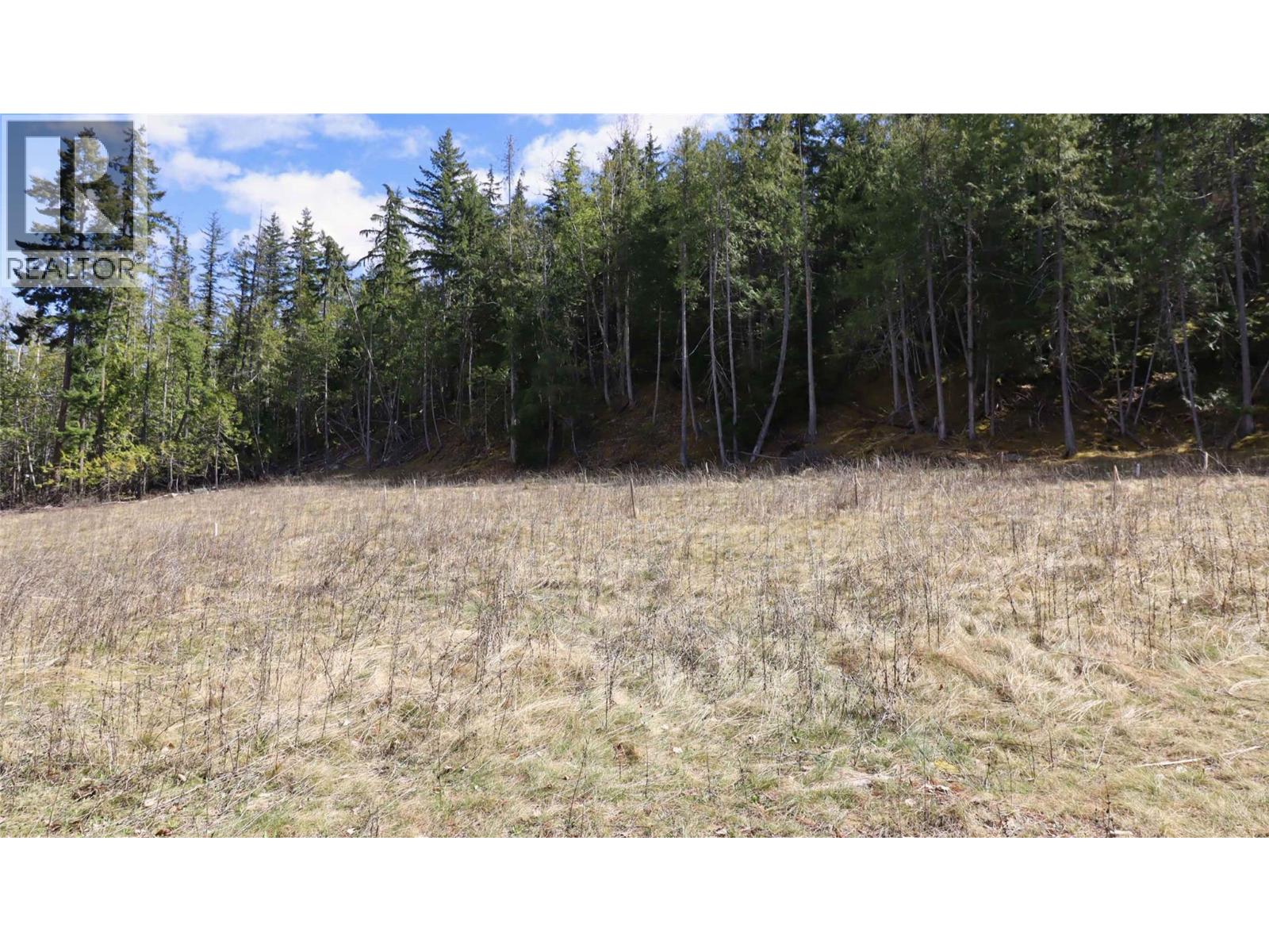 6167 Armstrong Road Lot# Pl 1, Eagle Bay, British Columbia  V0E 1T0 - Photo 9 - 10384589