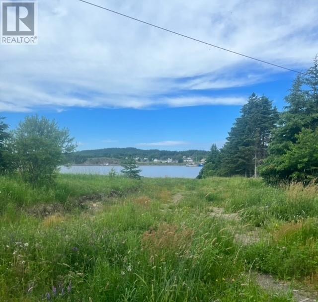 76b Island Drive, Summerford, Newfoundland & Labrador  A0G 4E0 - Photo 10 - 1296542