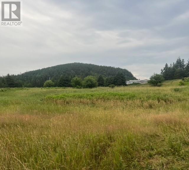 76b Island Drive, Summerford, Newfoundland & Labrador  A0G 4E0 - Photo 11 - 1296542