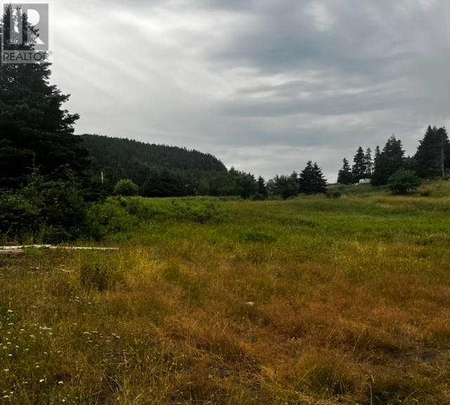 76b Island Drive, Summerford, Newfoundland & Labrador  A0G 4E0 - Photo 12 - 1296542