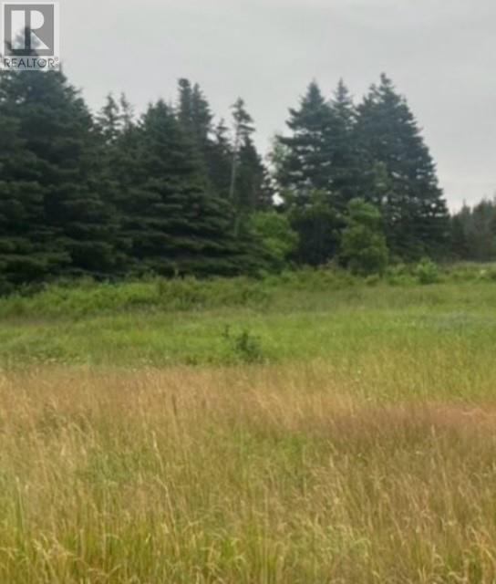 76b Island Drive, Summerford, Newfoundland & Labrador  A0G 4E0 - Photo 13 - 1296542