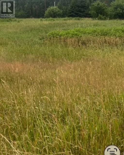 76b Island Drive, Summerford, Newfoundland & Labrador  A0G 4E0 - Photo 14 - 1296542