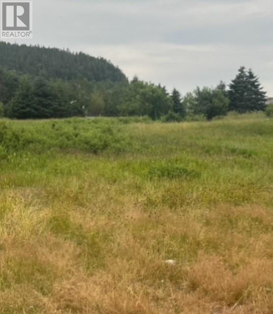 76b Island Drive, Summerford, Newfoundland & Labrador  A0G 4E0 - Photo 15 - 1296542