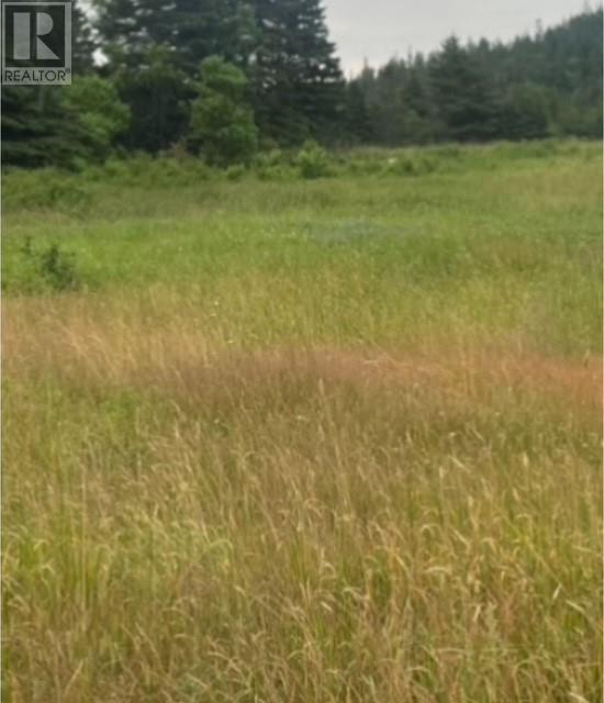 76b Island Drive, Summerford, Newfoundland & Labrador  A0G 4E0 - Photo 2 - 1296542